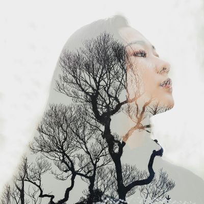A Therapist’s Guide to Internal Family Systems